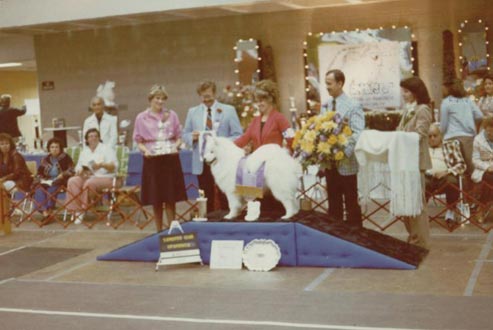Ch. Polar Mist Dr. Pepper Winners Dog 1979 SCA National Specialty Sire of Misha